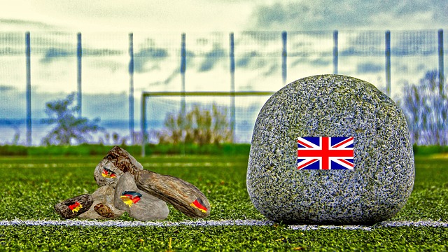 如果我的国 如果我的国