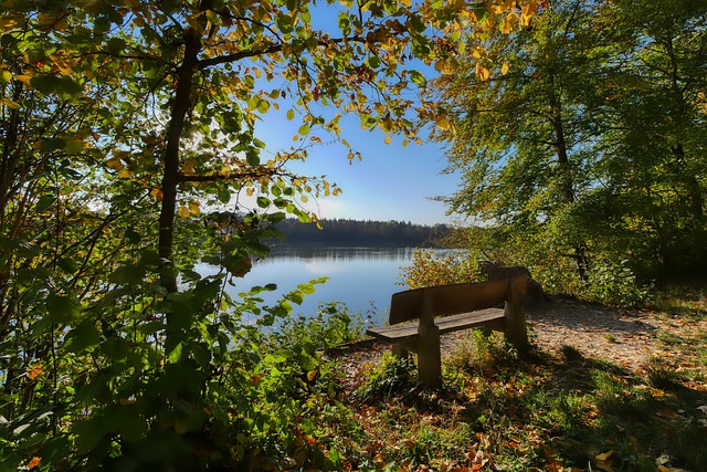 了自己的球 了自己的球