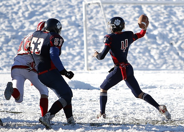 成功地帮助 成功地帮助