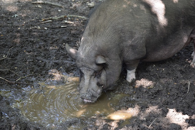 础设施的建 础设施的建