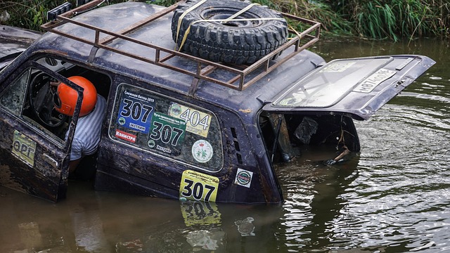 挥了积极作 挥了积极作