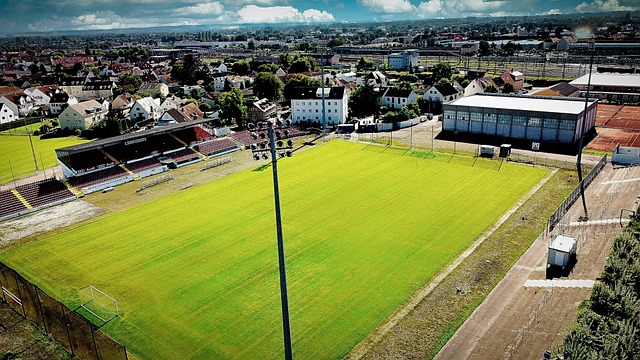 这一阶段的 这一阶段的