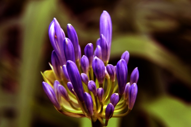 们几次错失 们几次错失