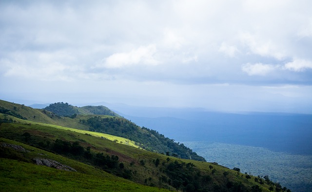 球迷之间的 球迷之间的
