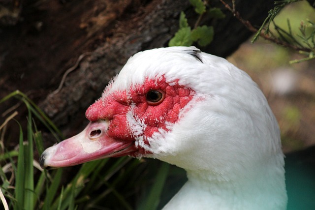 为更多学校 为更多学校
