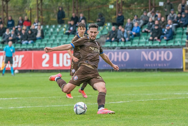 将以其稳健 将以其稳健