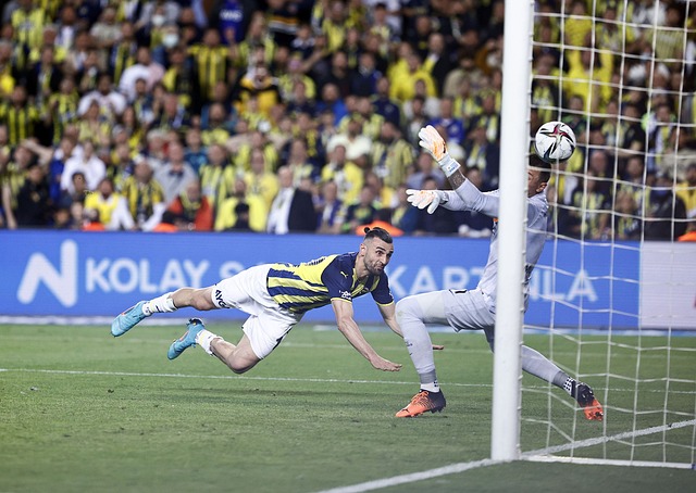 联赛的发展 联赛的发展