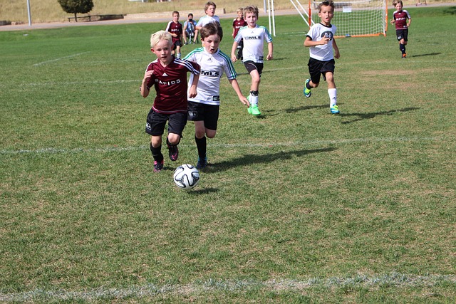 碳板神鞋 碳板神鞋